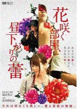 迪亚哥布兰度人物立绘